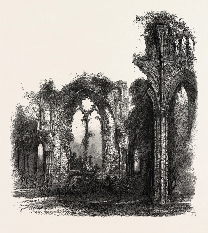 Netley Abbey, UK, britain, british, europe, united kingdom, great britain, european