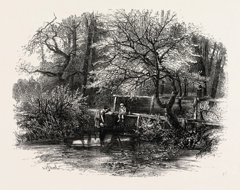 Markeaton Brook,  East Midlands of England, UK, britain, british, europe, united kingdom, great britain, european