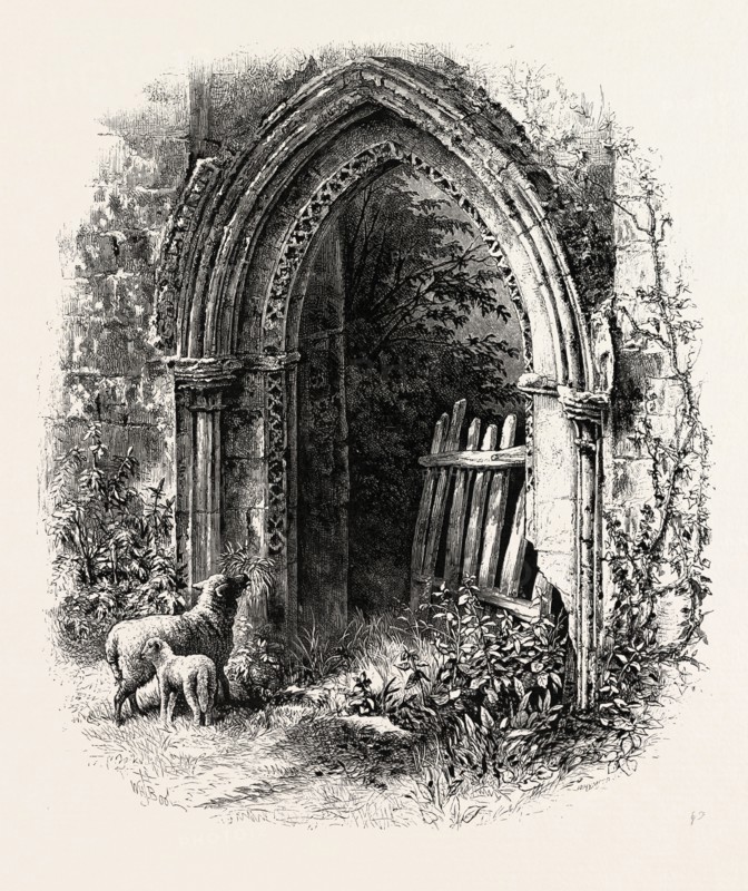 Doorway at Rivaux Abbey, UK, britain, british, europe, united kingdom, great britain, european