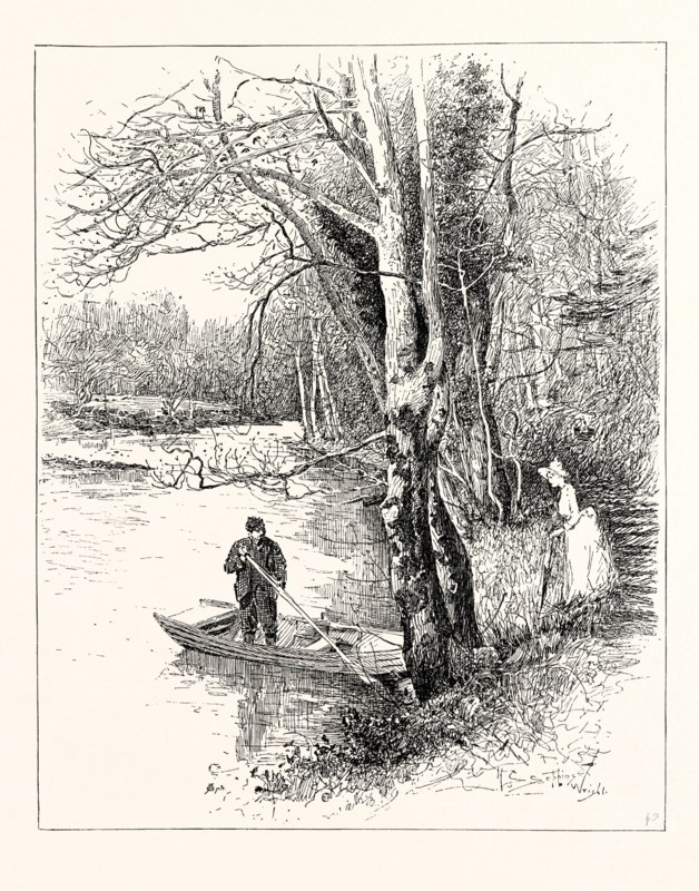 ON THE COQUET, BRINKBURN, UK.  The River Coquet runs through the county of Northumberland, England, discharging into the North Sea on the east coast of England at Amble.