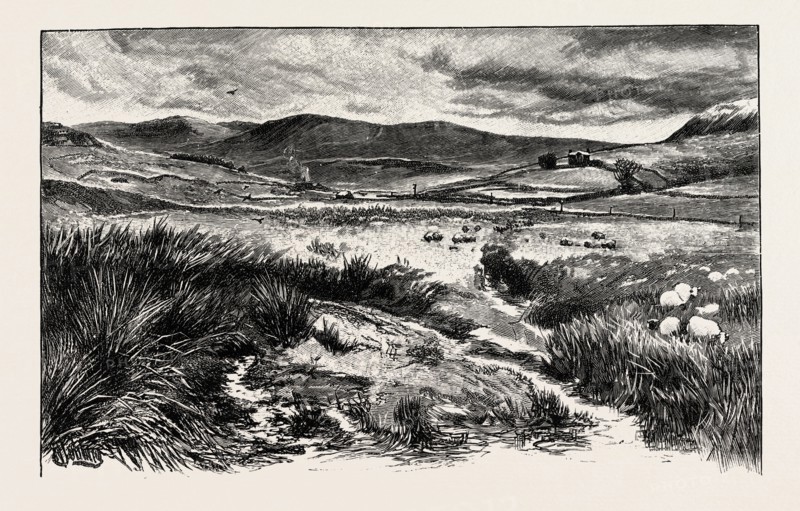 KEILDER MOORS (WITH PEEL FELL TO THE RIGHT), UK