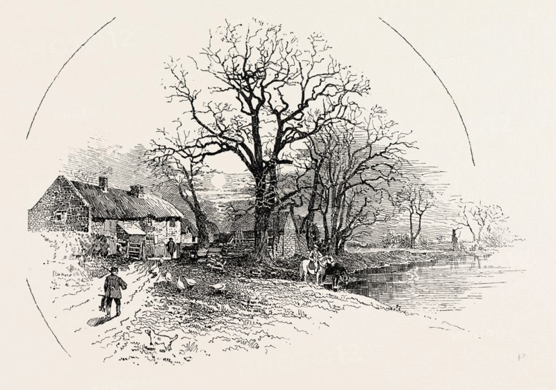 THE CROW TREES, BARROW-ON-TRENT, UK