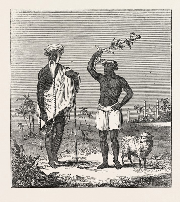 THE SHEEP-EATER OF HINDOSTAN: THE SHEEP-EATER AND HIS GURW, INDIA. Or Indostan, literally "land of the Indus", is a popular name for the Indian subcontinent. Delhi and Agra have been the traditional capitals of Hindustan.