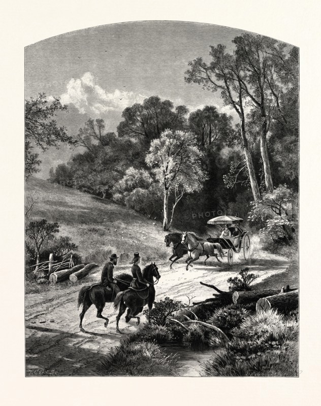 THE GLEN, NEWPORT, J.D. WOODWARD