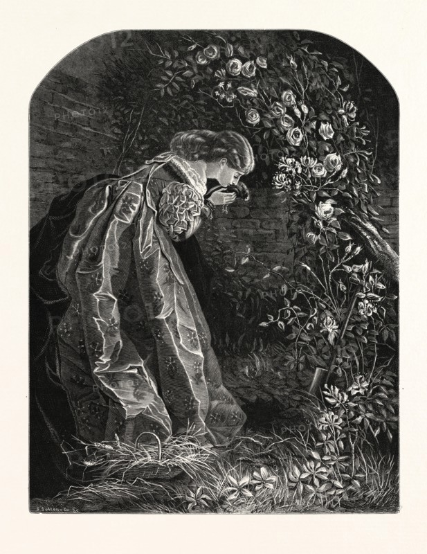 BURYING THE PET BIRD. AFTER MISS M.E. EDWARDS