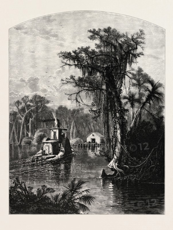 SILVER SPRING, FLORIDA. J.D. WOODWARD. Silver Springs is a U.S. populated place and spring in Marion County, Florida, just to the east of the city of Ocala. Silver Springs is the site of one of the largest artesian spring formations in the world, producing nearly 550 million gallons of crystal-clear water daily. Silver Springs forms the headwaters of the Silver River, the largest tributary on the Ocklawaha River, a part of the St. Johns River system. USA