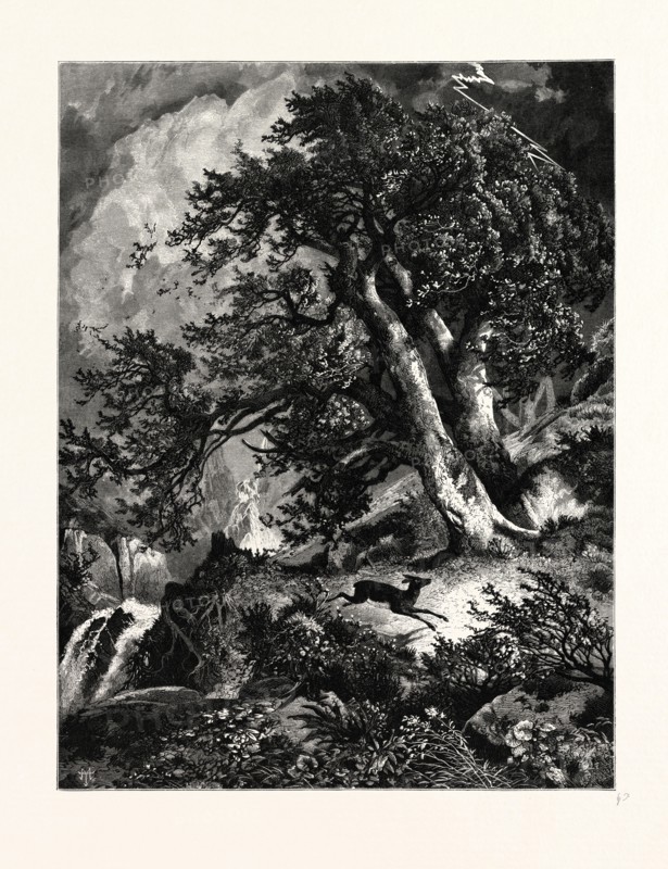 A STORM IN THE MOUNTAINS. Thomas Moran (February 12, 1837 â€ì August 25, 1926) from Bolton, England was an American painter and printmaker of the Hudson River School in New York whose work often featured the Rocky Mountains.