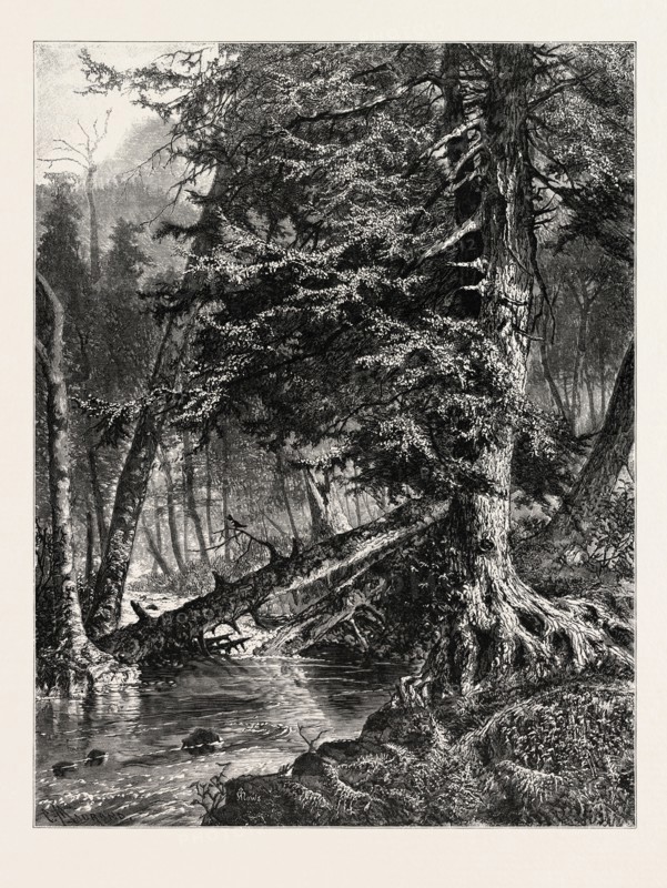 KETTLE RUN, ALTOONA. JOHN A. HOWS. USA
