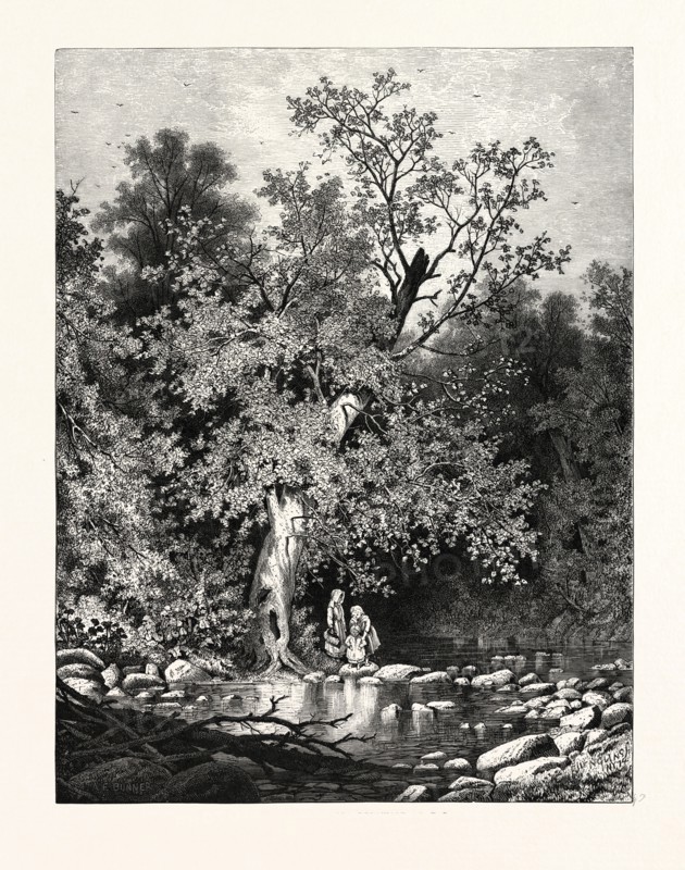 THE STEPPING-STONES, UPPER DELAWARE. A.F. BUNNER. USA