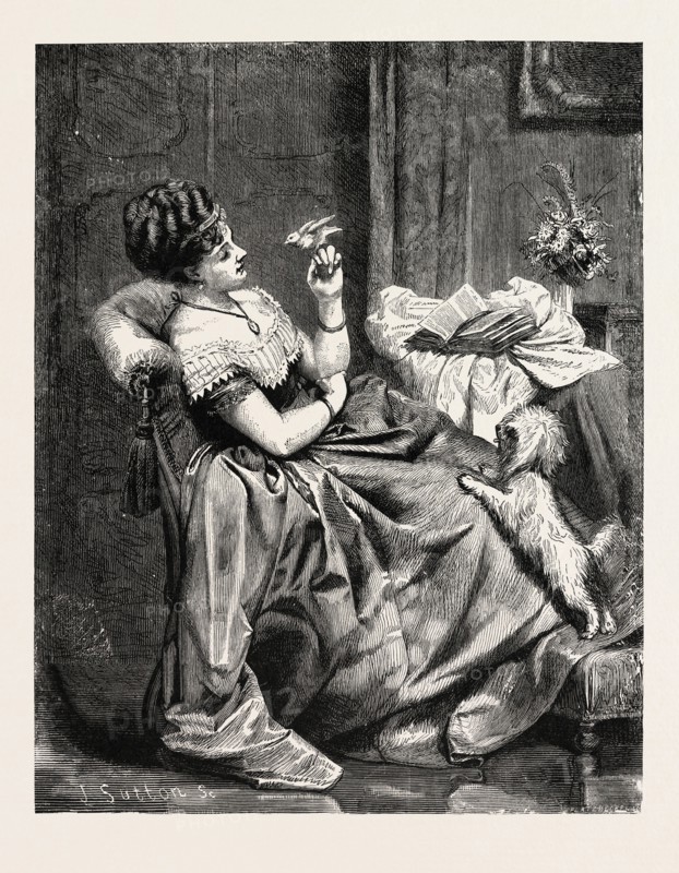 THE RIVALS. JEAN LABAYE