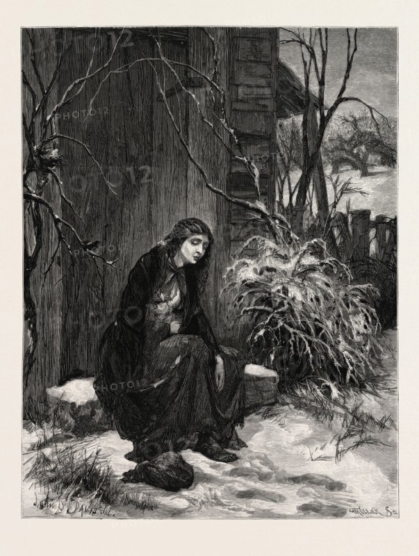 MARY OF THE WILD MOOR. JOHN S. DAVIS