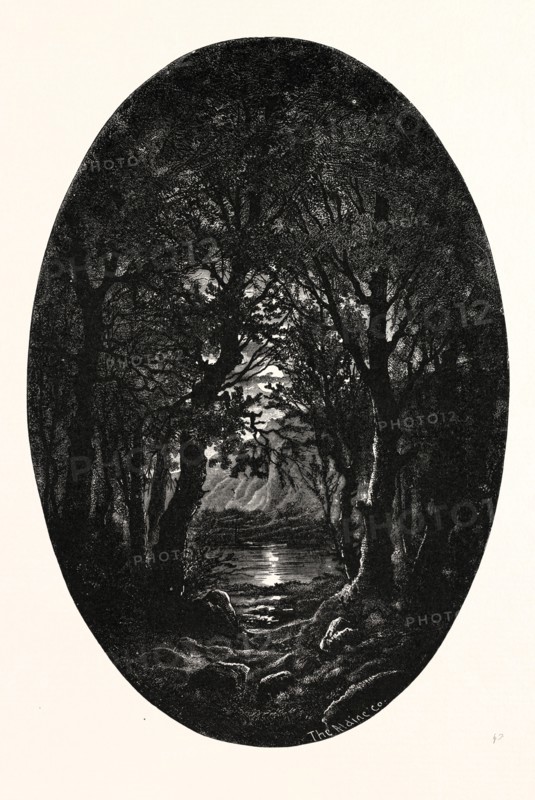 Under the silver full-moonlight Shimmereth white the lake Seen through the natural arches That the crossing branches make. Weird is the quiet beauty Enwrapping the scene like a spell Where alike the naiad and dryad Should be happy and proud to dwell