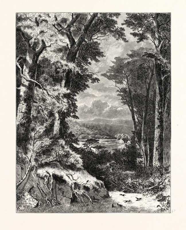VALLEY OF THE KISKIMINETAS.  John Augustus Hows, 1832 - 1874. USA