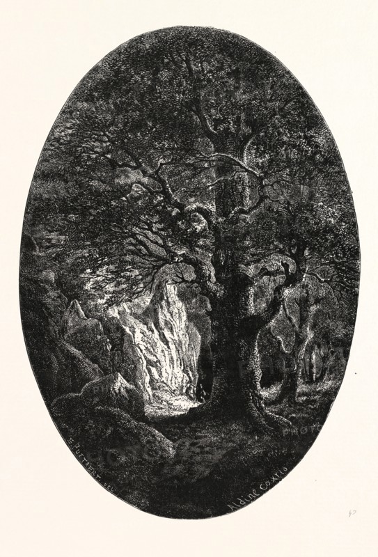 THE HERON'S ROCK. E. PUTTAERT