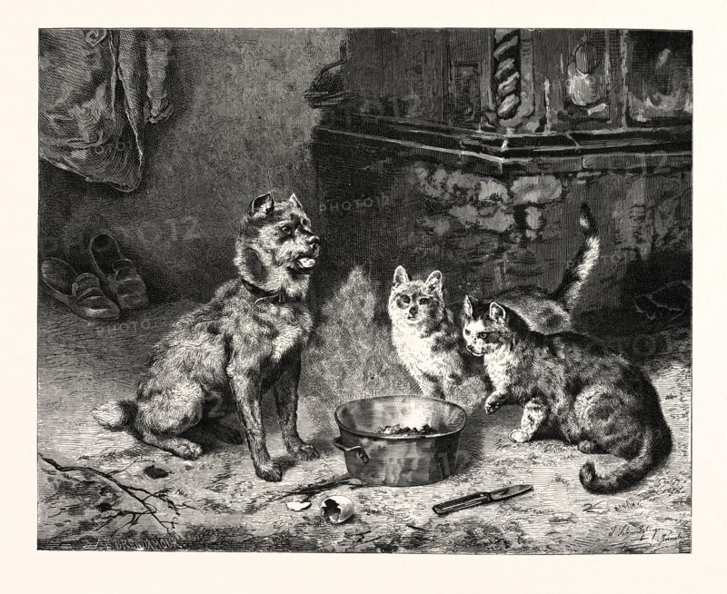PATIENCE, dog and cats dinner.