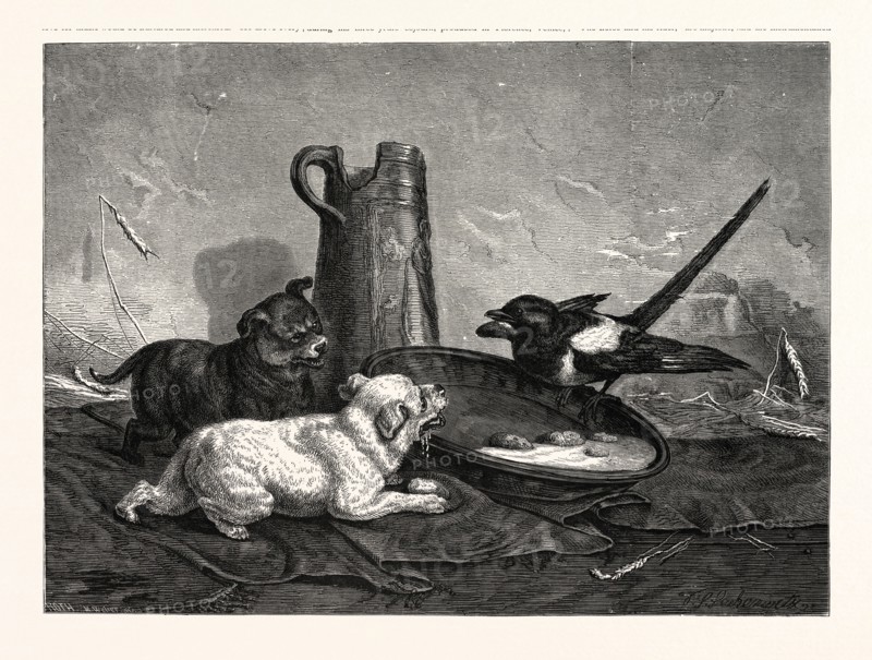 AN UNBIDDEN GUEST. Dogs and bird dinner.