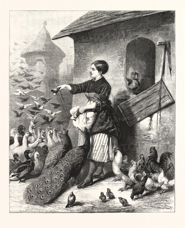 THE DINNER BELL: A SCENE NEAR SILBERHAUSEN, SAXONY, GERMANY, ENGRAVING 1876