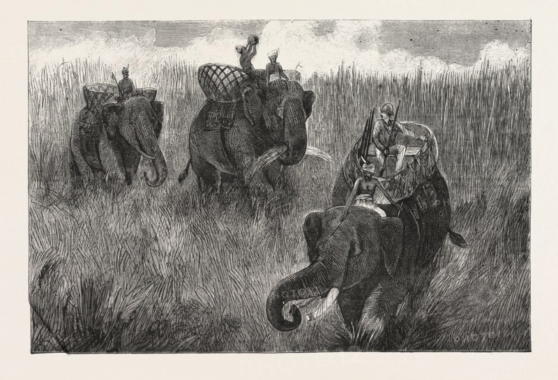 LIFE IN INDIA: TRAVELLING IN BURMA, ENGRAVING 1876