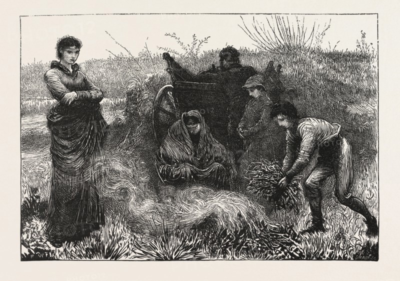 AN AUTUMN EVENING, DRAWN BY THE LATE F. WALKER, ENGRAVING 1876, UK, britain, british, europe, united kingdom, great britain, european