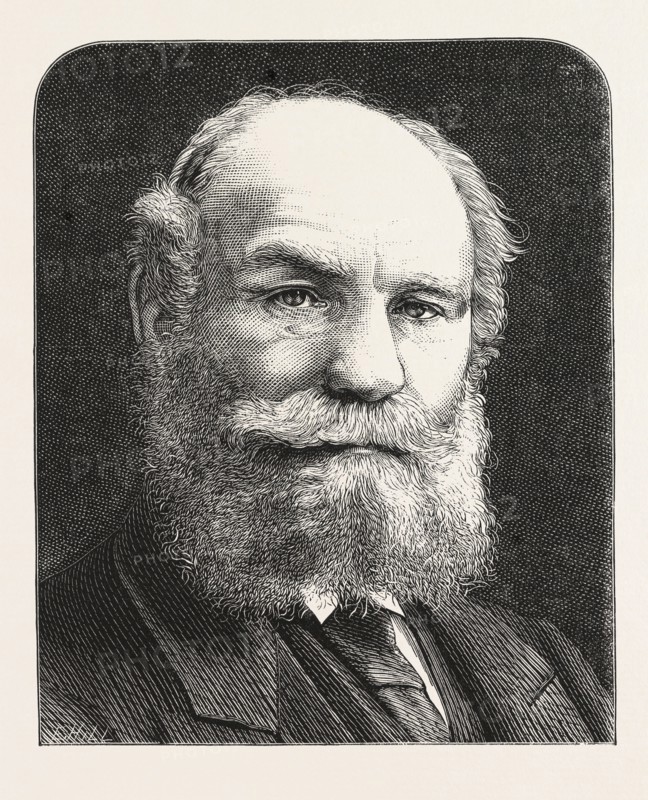 THE LATE LIEUT.-COL. THOMSON, MAYOR OF LIVERPOOL, ENGRAVING 1876, UK, britain, british, europe, united kingdom, great britain, european