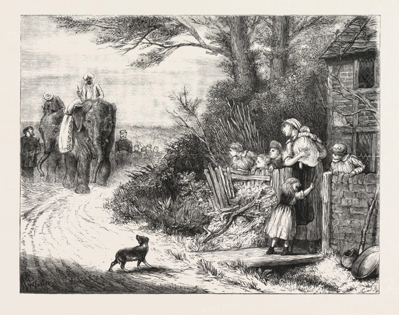 THE PRINCE OF WALES'S MENAGERIE, THE ELEPHANTS " SALAR AND JUNG  BEING BROUGHT TO LONDON BY ROAD, ENGRAVING 1876, UK, britain, british, europe, united kingdom, great britain, european