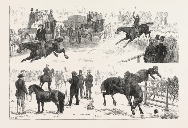 ALEXANDRA PALACE HORSE SHOW, ENGRAVING 1876, UK, britain, british, europe, united kingdom, great britain, european