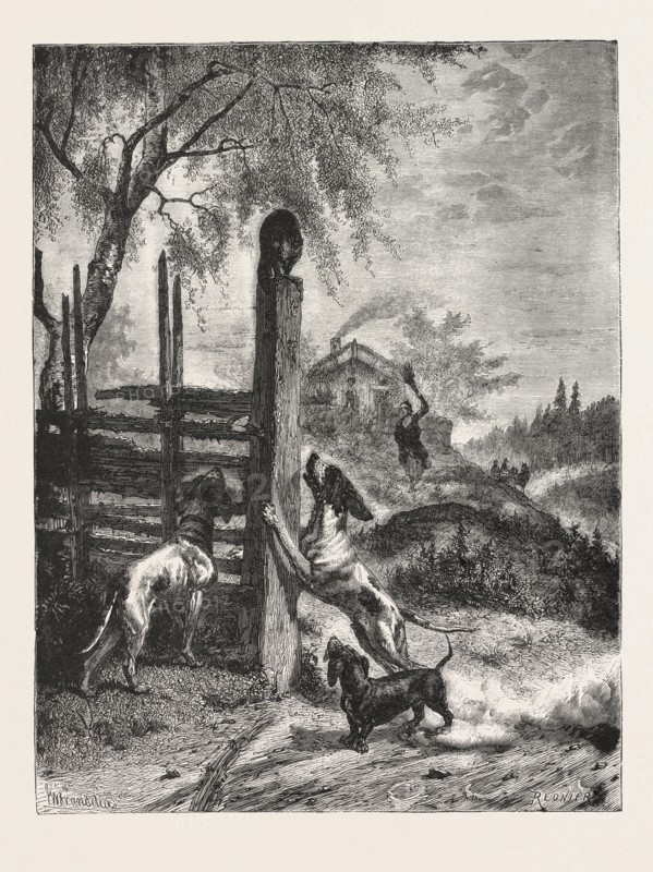 THE BESIEGED FAVOURITE From the Picture by B. y. G. Brandelius ENGRAVING 1876