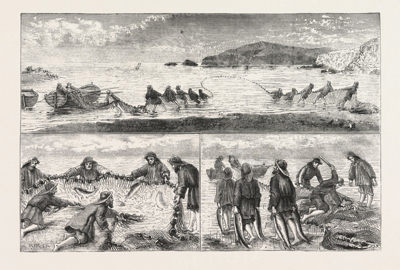 SALMON FISHING: FISHING SALMON, MOUTH OF THE RIVER TIVEY, CARDIGANSHIRE, HAILING IN THE SEINE NET, CLUBBING THE FISH, CARRYING THE FISH TO THE BOAT, ENGRAVING 1876, UK