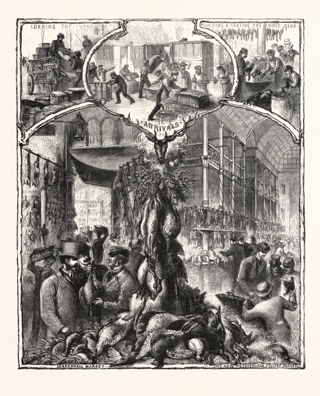 THE SHOOTING SEASON,  GAME IN THE LONDON MARKETS, ENGRAVING 1876, UK, britain, british, europe, united kingdom, great britain, european