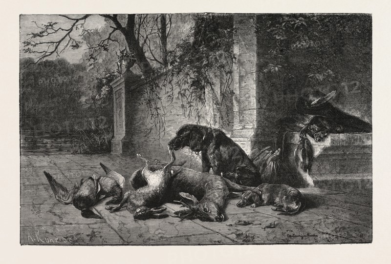 AFTER THE HUNT, DOGS, DEER, HARE, DUCKS, ENGRAVING 1876