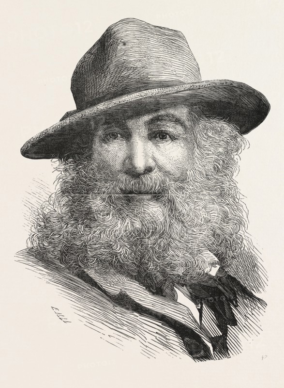 WALT WHITMAN, May 31, 1819 â€ì March 26, 1892, was an American poet, essayist and journalist, ENGRAVING 1876, US, USA, America, United States