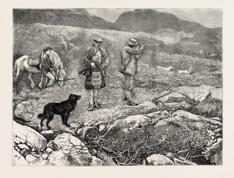 GROUSE SHOOTING, 1870