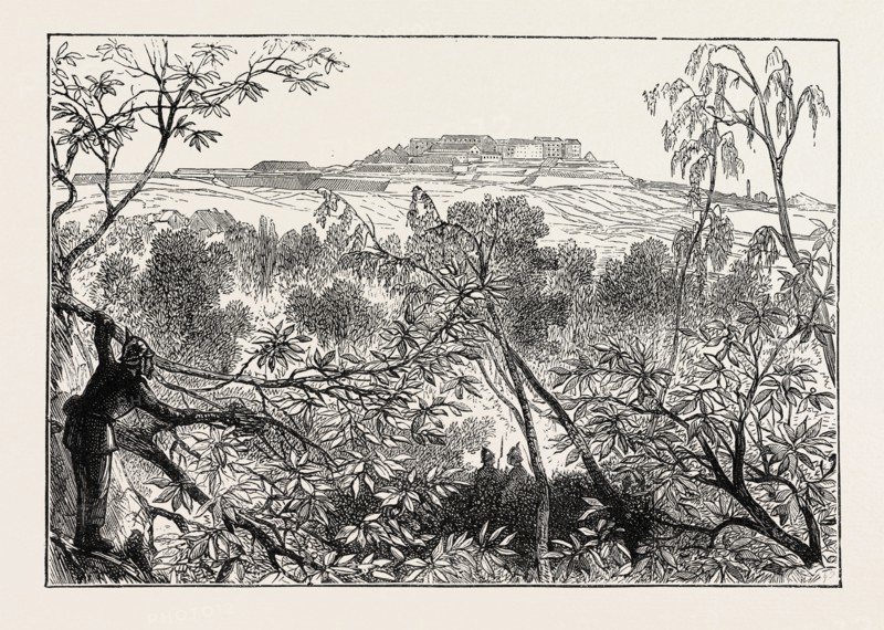 A PEEP AT MONT VALERIEN: THE WOODS OF CELLE ST. CLOUD, FRANCE, 1870