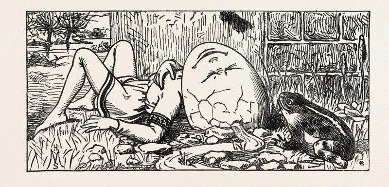 HUMPTY DUMPTY