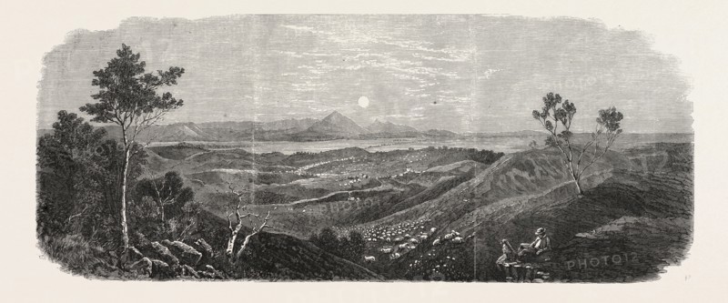 THE GOLD FIELDS OF AUSTRALIA: MOUNT ARARAT, 1865