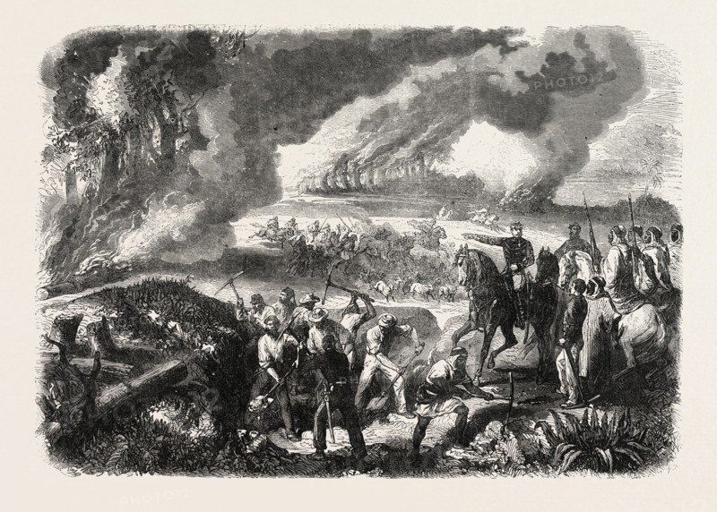 BURNING OF CORK-TREE FORESTS, IN THE DISTRICT OF JEMAPPES, PHILIPVILLE, ALGERIA, 1865