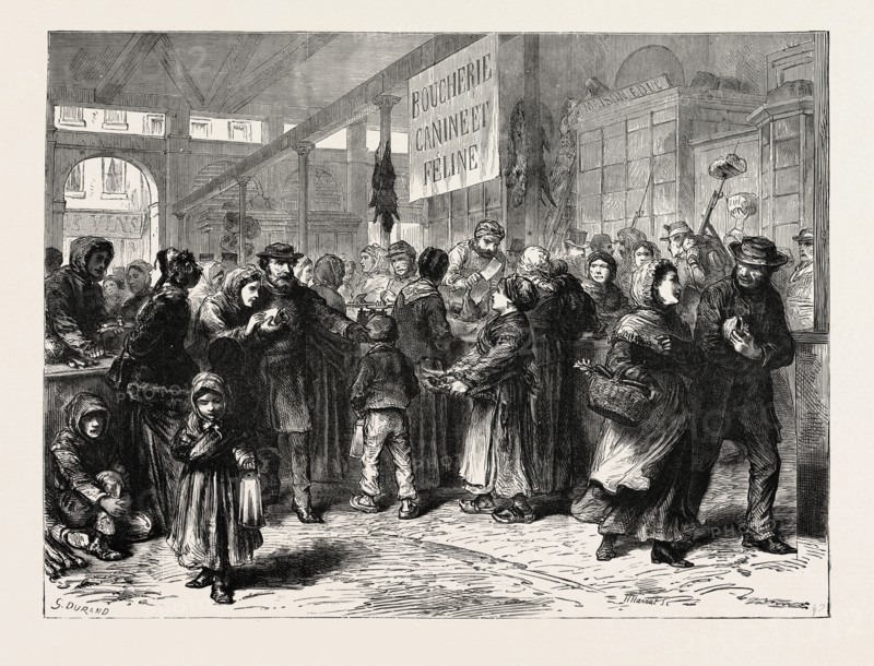 A DOG AND CAT BUTCHER'S IN PARIS, FRANCE, 1871