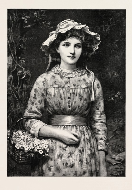 PRIMROSE DAY, GIRL, 1888 engraving