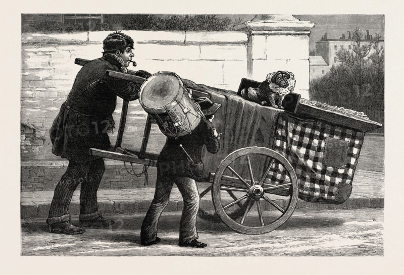 THE RENEWAL OF THE MUZZLING ORDER DOG TOBY MUZZLED, engraving 1890, uk, britain, british, united kingdom, great britain, europe, european