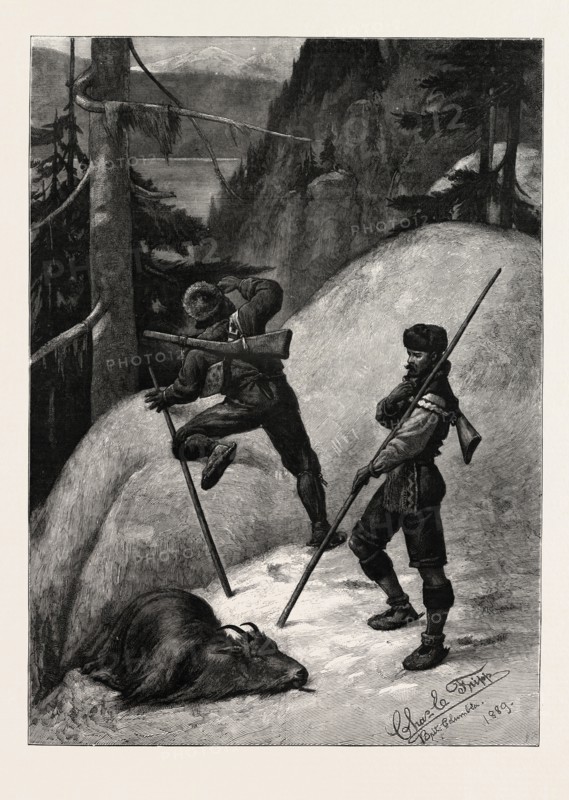 MOUNTAIN GOAT HUNTING IN BRITISH COLUMBIA, Engraving 1890