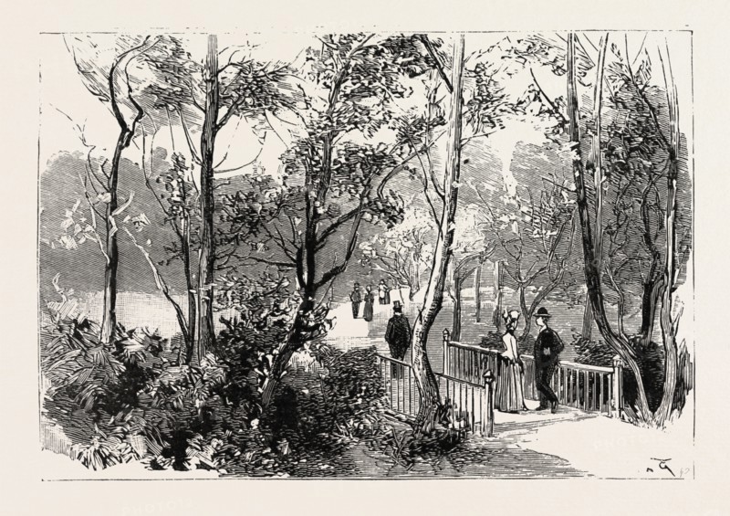 BOURNEMOUTH, VIEW IN PUBLIC GARDENS, ENGRAVING 1890, UK, britain, british, europe, united kingdom, great britain, european