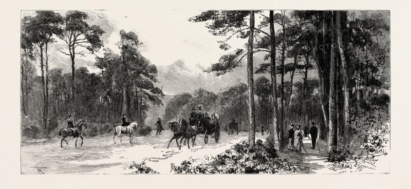 BOURNEMOUTH, GERVIS ROAD, engraving 1890, UK, U.K., Britain, British, Europe, United Kingdom, Great Britain, European
