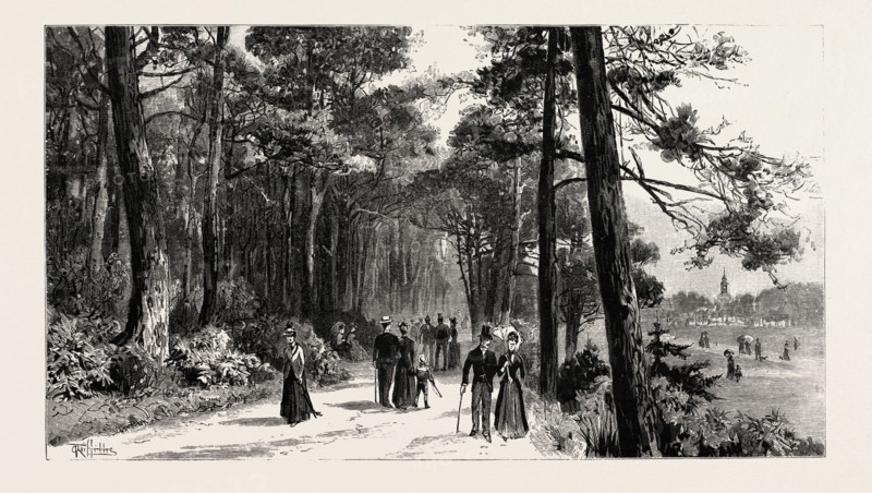 BOURNEMOUTH, THE INVALIDS WALK IN PUBLIC GARDENS, engraving 1890, UK, U.K., Britain, British, Europe, United Kingdom, Great Britain, European