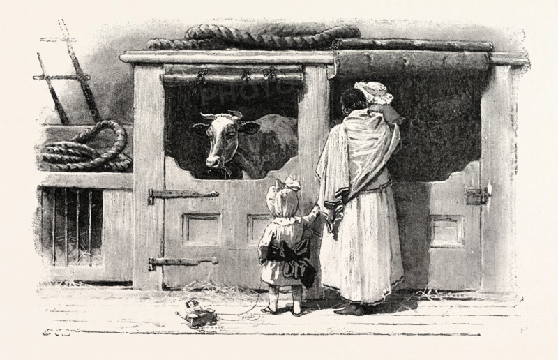 ON A PENINSULAR AND ORIENTAL COMPANY'S STEAMER, engraving 1890