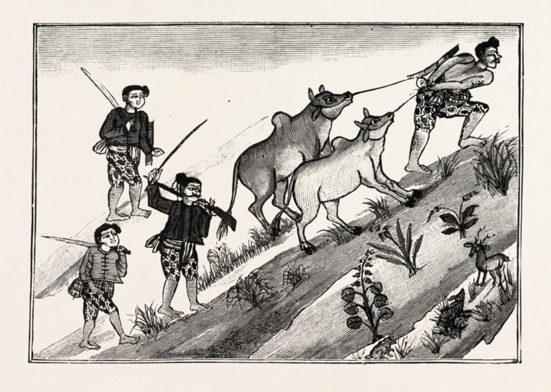 LIFE OF A BURMESE DACOIT, BUT ON REACHING MAN'S ESTATE JOINS A BAND OF DACOITS AND CATTLE LIFTERS, engraving 1890