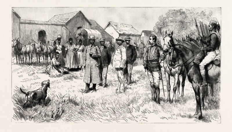 DINIZULU, UNDABUKO, AND CHINGWAO, THE EXILED ZULU CHIEFS, LEAVING THE GAOL AT ESHOWE, ZULULAND, EN ROUTE, engraving 1890