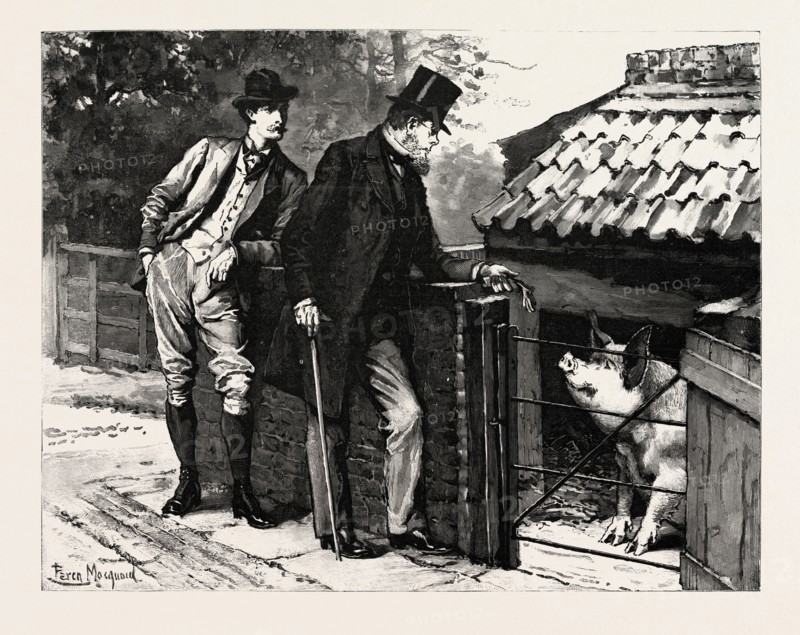 DRAWN BY PERCY MACQUOID, THE PIG, Percy Macquoid, 1852-1925, was an English artist and illustrator described as the non plus ultra of elegance and mild refined feeling, engraving 1890, engraved image, history, arkheia, illustrative technique, engravement, engraving, victorian, Arts, Culture, 19th Century Style, Retro Styled, Vintage, retro, nineteenth century engraving, historic art