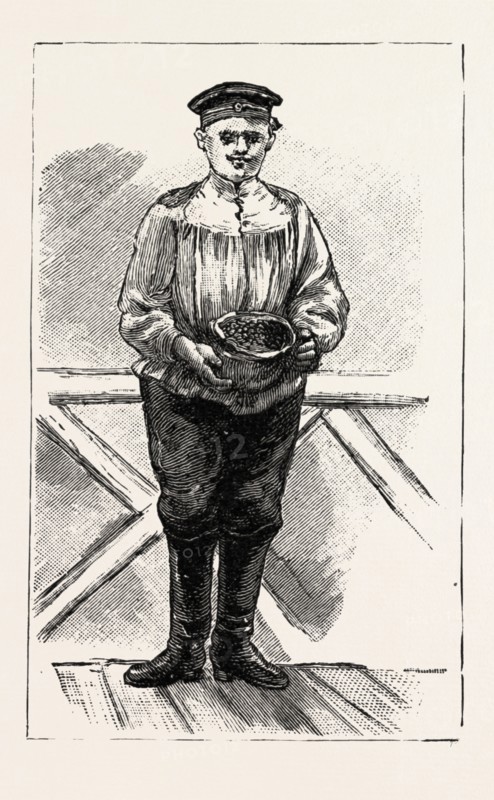 IMAGE AT KHARSAKOV, SAGHALIEN, EASTERN SIBERIA, KORSAKOV, KORSAKOVSKY DISTRICT OF SAKHALIN OBLAST, RUSSIA,  A HUMBLE OFFERING, WILD STRAWBERRIES, engraving 1890, engraved image, history, arkheia, illustrative technique, engravement, engraving, victorian, Arts, Culture, 19th Century Style, Retro Styled, Vintage, retro, nineteenth century engraving, historic art