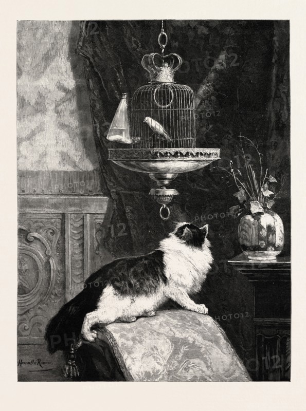 A LONGING LOOK, PICTURE BY HENRIETTE RONNER, engraving 1890, engraved image, history, arkheia, illustrative technique, engravement, engraving, victorian, Arts, Culture, 19th Century Style, Retro Styled, Vintage, retro, nineteenth century engraving, historic art