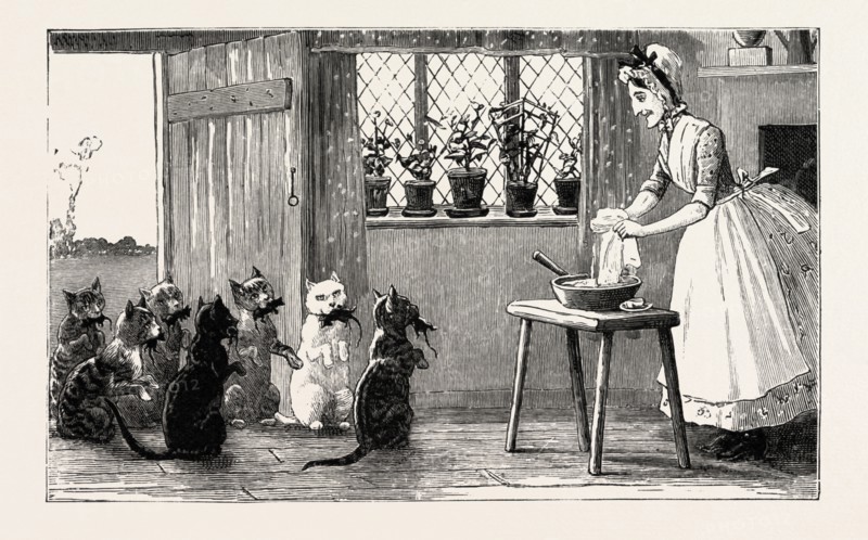 cats and mice, engraving 1890, engraved image, history, arkheia, illustrative technique, engravement, engraving, victorian, Arts, Culture, 19th Century Style, Retro Styled, Vintage, retro, nineteenth century engraving, historic art